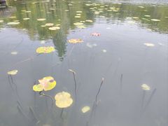 -南北湖风景区