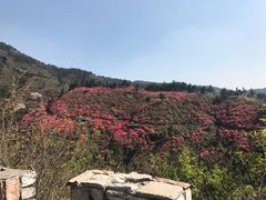 -木兰云雾山