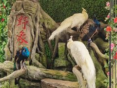 -野象谷景区