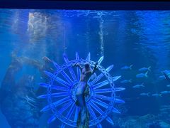 -波塞冬旅游度假区