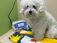 -美联众合动物医院·24h转诊中心