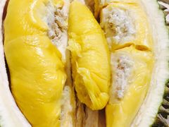 -都念榴莲·城市榴莲