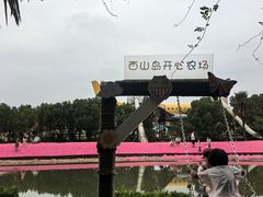 -苏州太湖西山岛开心农场