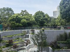 -华山医院-食堂