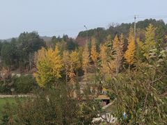 -北京金海湖景区