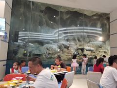 -帝企鹅自助餐厅•儿童岛•真企鹅(长隆企鹅酒店)