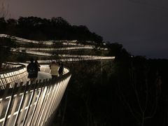 -福道