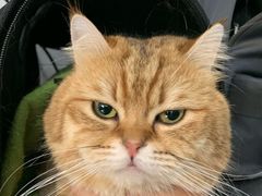 -北京赛佳动物医院