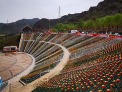 -密云玫瑰情园