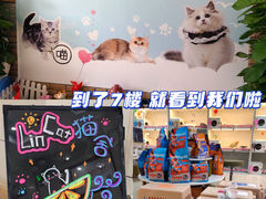 -lincat·猫舍(广州店)