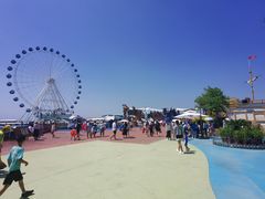 -秦皇岛乐岛海洋王国