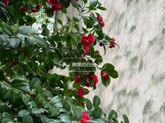 -庆安会馆
