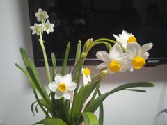 -明辉果业(章家巷小区延长西路526弄店)