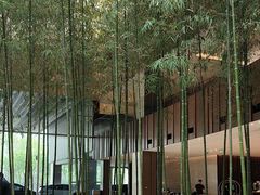 -北京望京凯悦酒店The Lounge大堂酒廊