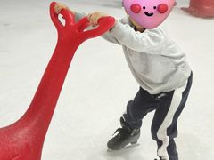-世界之窗阿尔卑斯冰雪世界
