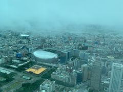 景观位-欣叶食艺轩