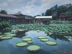 -广州莲花山旅游区