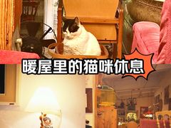 -旧天堂书店(华侨城创意文化园南山特色文化街区店)