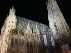 -斯蒂芬主教座堂(Stephansdom)
