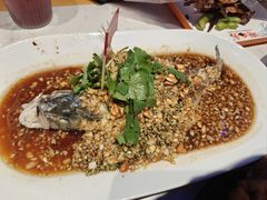 -杨氏青龙虾·羊蝎子(托乐嘉店)