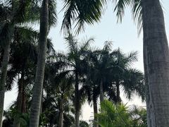 -南宁南湖公园