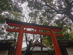-奈良公园