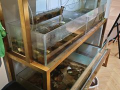 -十八字金·银饰·开蚌DIY·手工体验团建(世纪金源店)