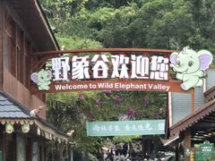 -野象谷景区