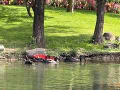 -徐家汇源景区-衡山公园