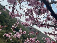 -天台山琼台仙谷景区