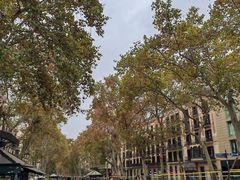 -加泰罗尼亚广场