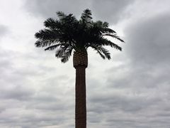 iphone_upload_pic-Club Med地中海俱乐部·桂林度假村