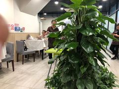 -听涛雅苑百味饺子老家菜馆