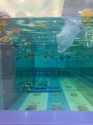 -海豚啵啵体智能游泳馆(惠山万达广场店)
