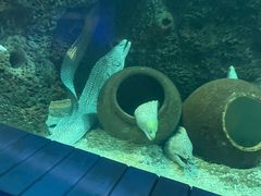 -石家庄海洋公园