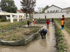 -前小桔亲子创意农场·草莓采摘·露营烧烤