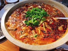-都江堰石锅鱼