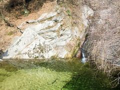-王顺山国家森林公园