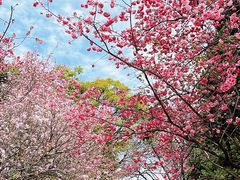 -圆通禅寺