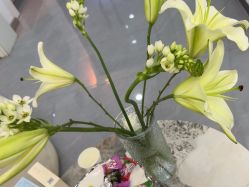 -Dr·Jane皮肤管理中心