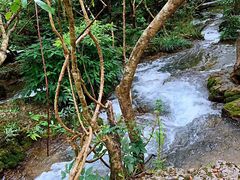 -小七孔景区-六十八级跌水瀑布