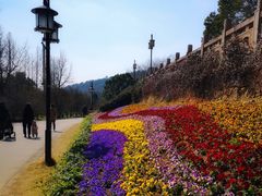 -苏州上方山国家森林公园