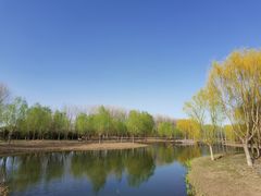 -东郊湿地公园