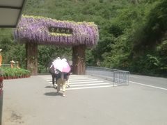 -河南宝泉旅游区