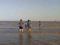-碧海金沙