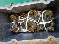 -蟹天蟹地农家菜·阳澄湖大闸蟹(浅水湾店)