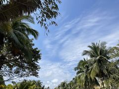 -阿侬盐焗鸡(清澜店)