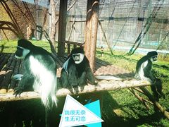 -济南野生动物世界