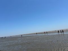 -南汇新城海滩