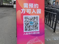 -第35届青岛国际啤酒节